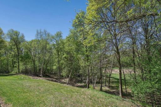 Plenty of trees are a gorgeous back drop.