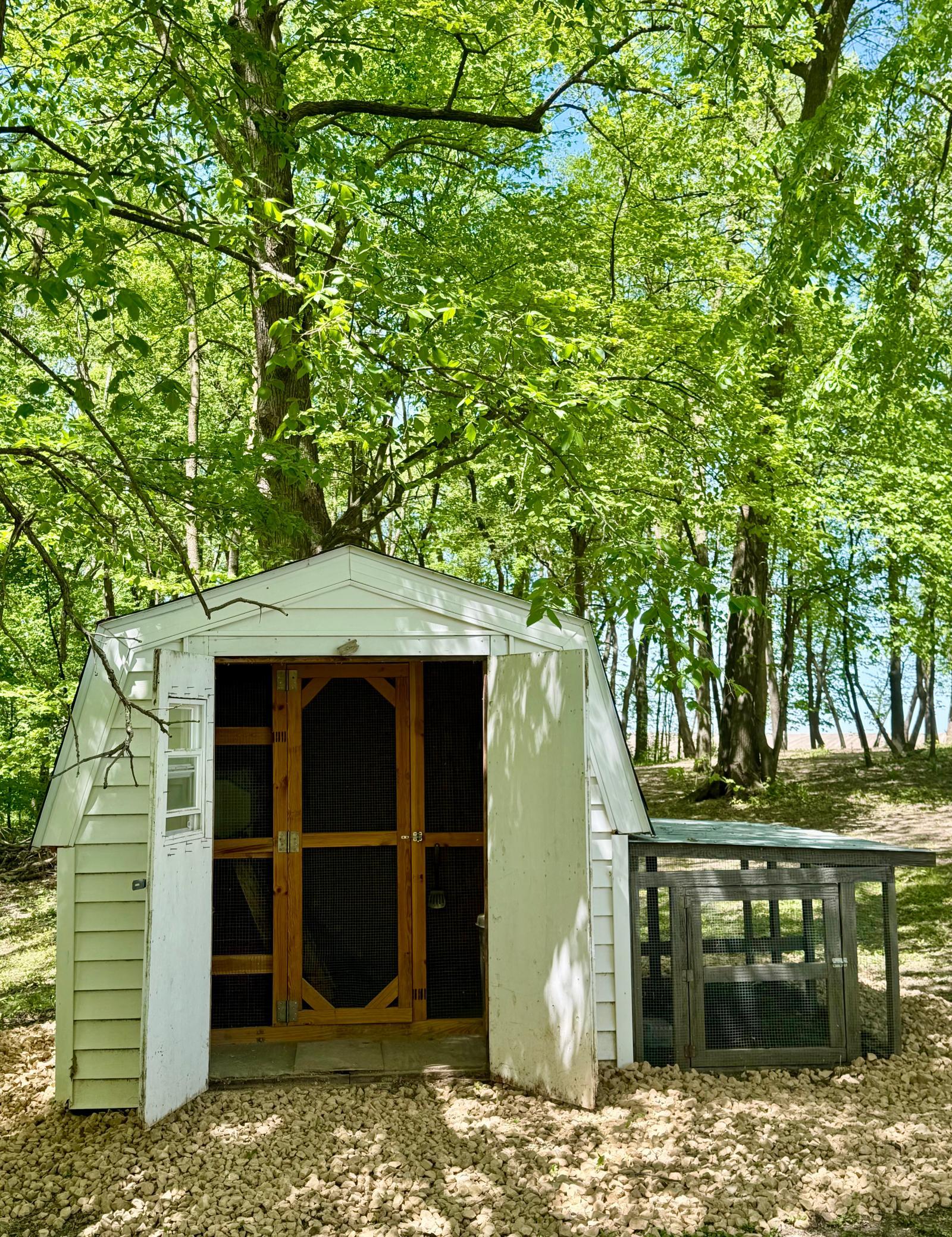 Chicken Coop & Run ready for your chickens!