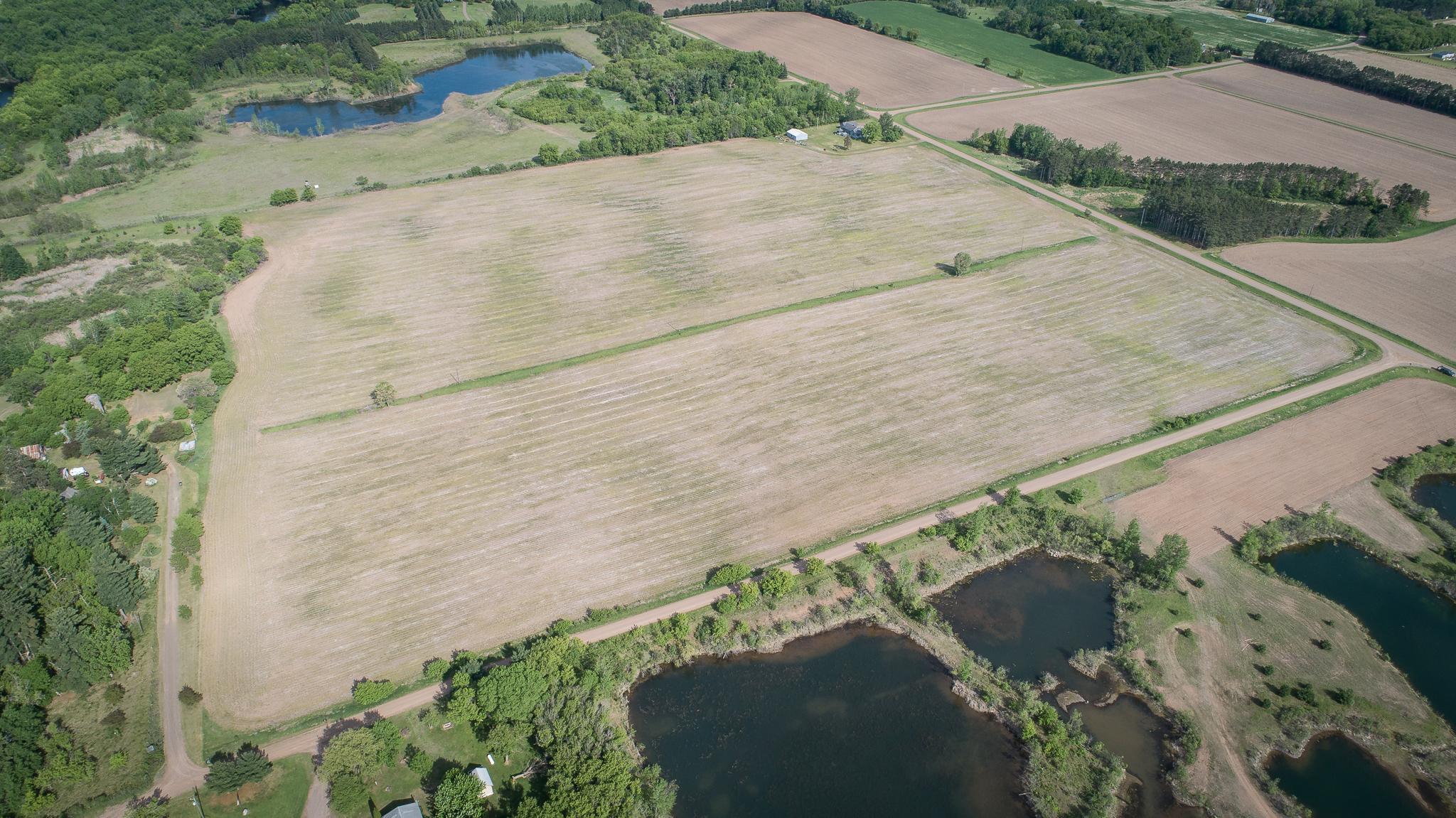DJI_0441.jpg