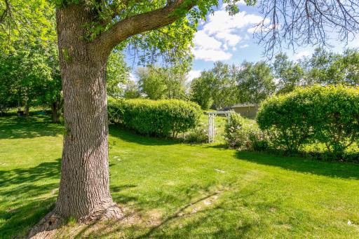 Side yard with sweet pergola leading to walking trail