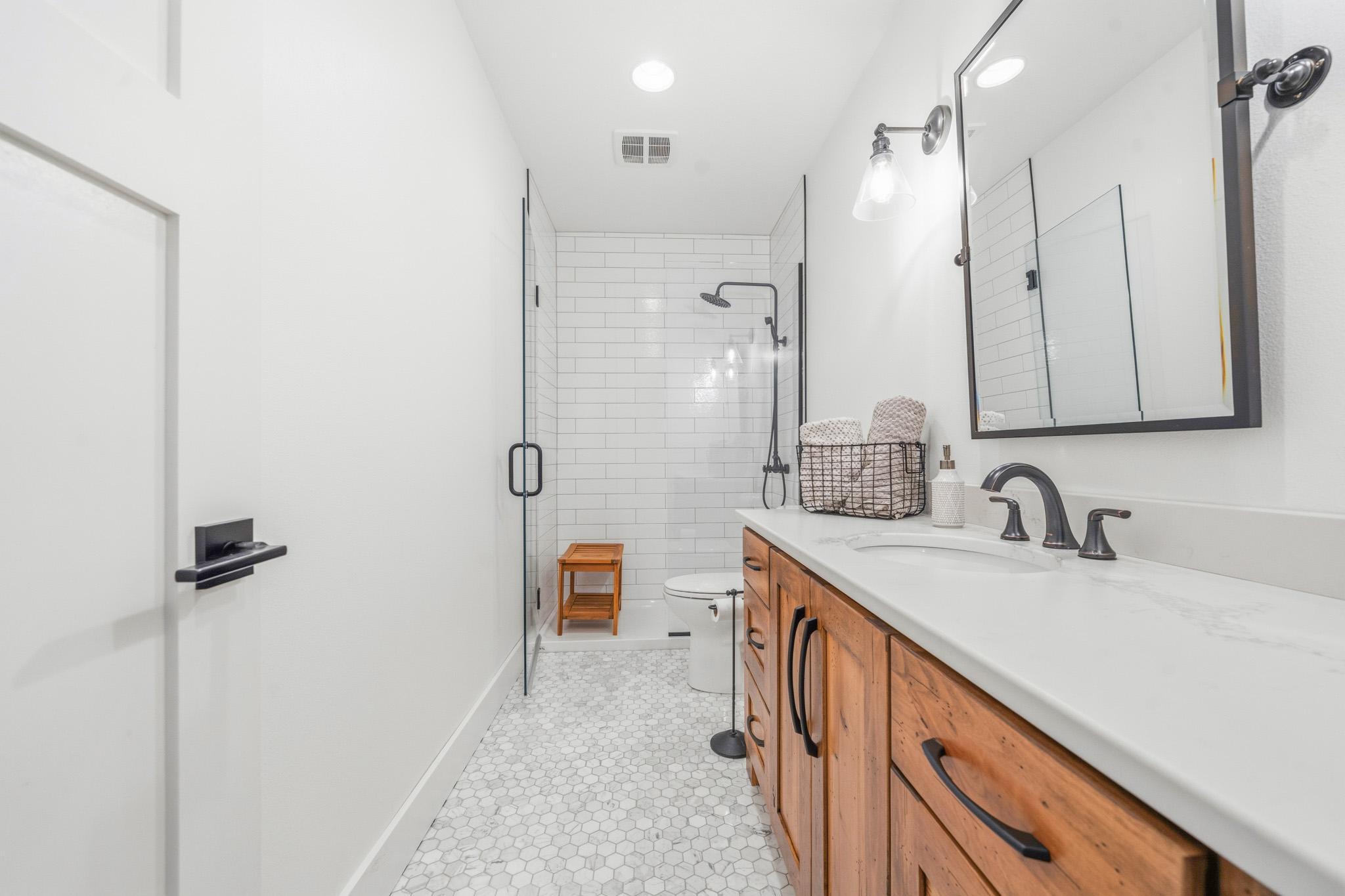 Lower Level Bathroom