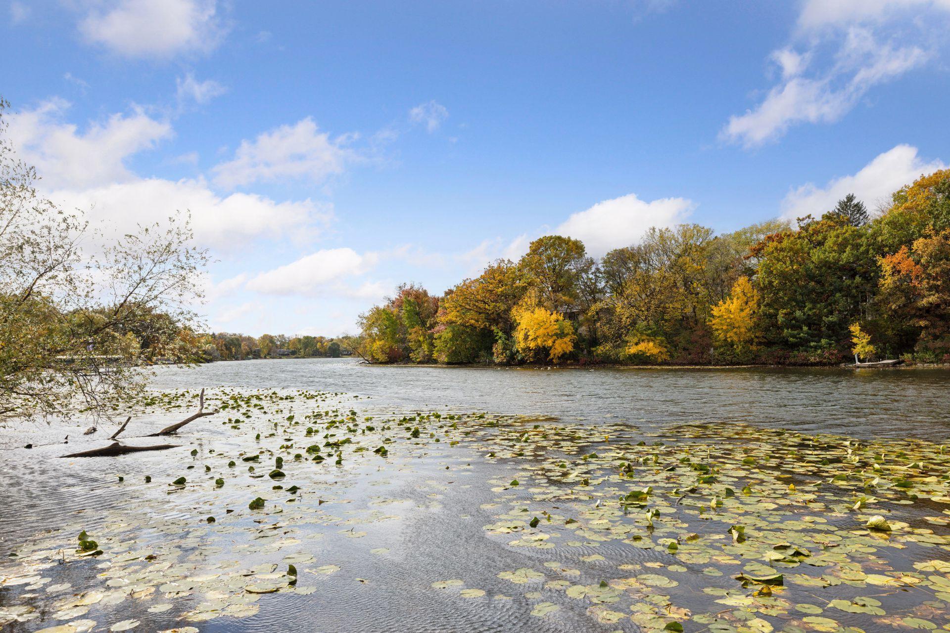 Beautiful Schmidt views and peaceful park just moments from the home.