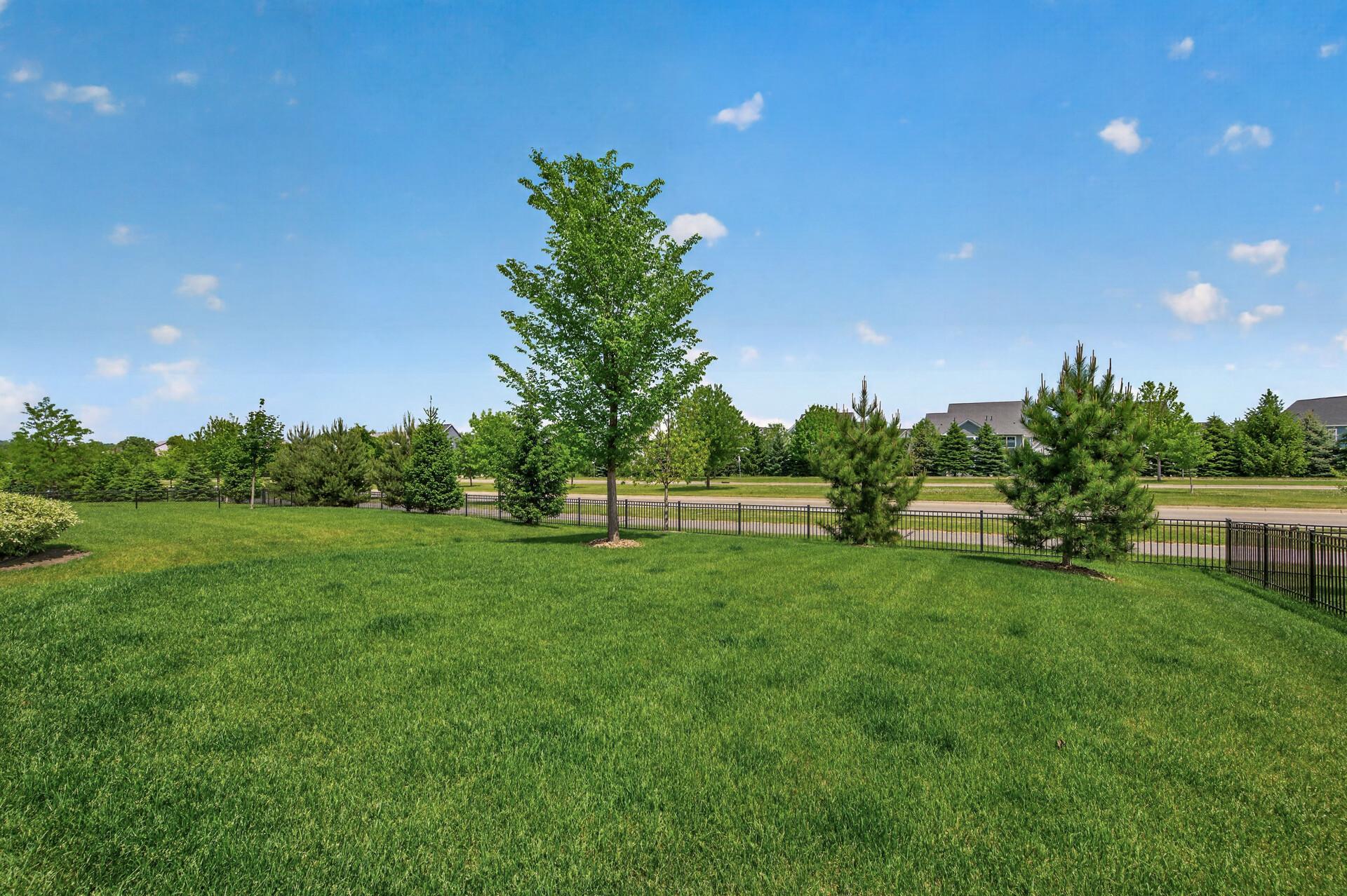 Best part of the yard, enjoy not looking at neighbors! Rather look over the parkway and the walking trails that connect to Woodbury's trail system for miles and miles of walking.