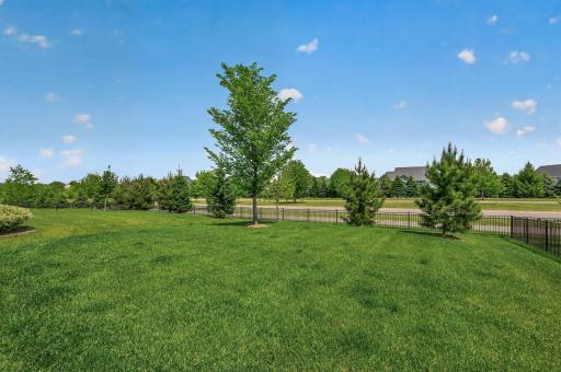 Best part of the yard, enjoy not looking at neighbors! Rather look over the parkway and the walking trails that connect to Woodbury's trail system for miles and miles of walking.