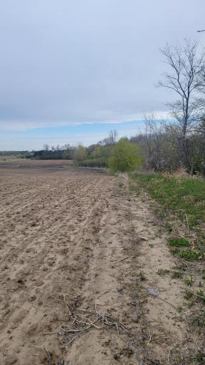 3937 405th Avenue NE, Stanchfield, MN 55080