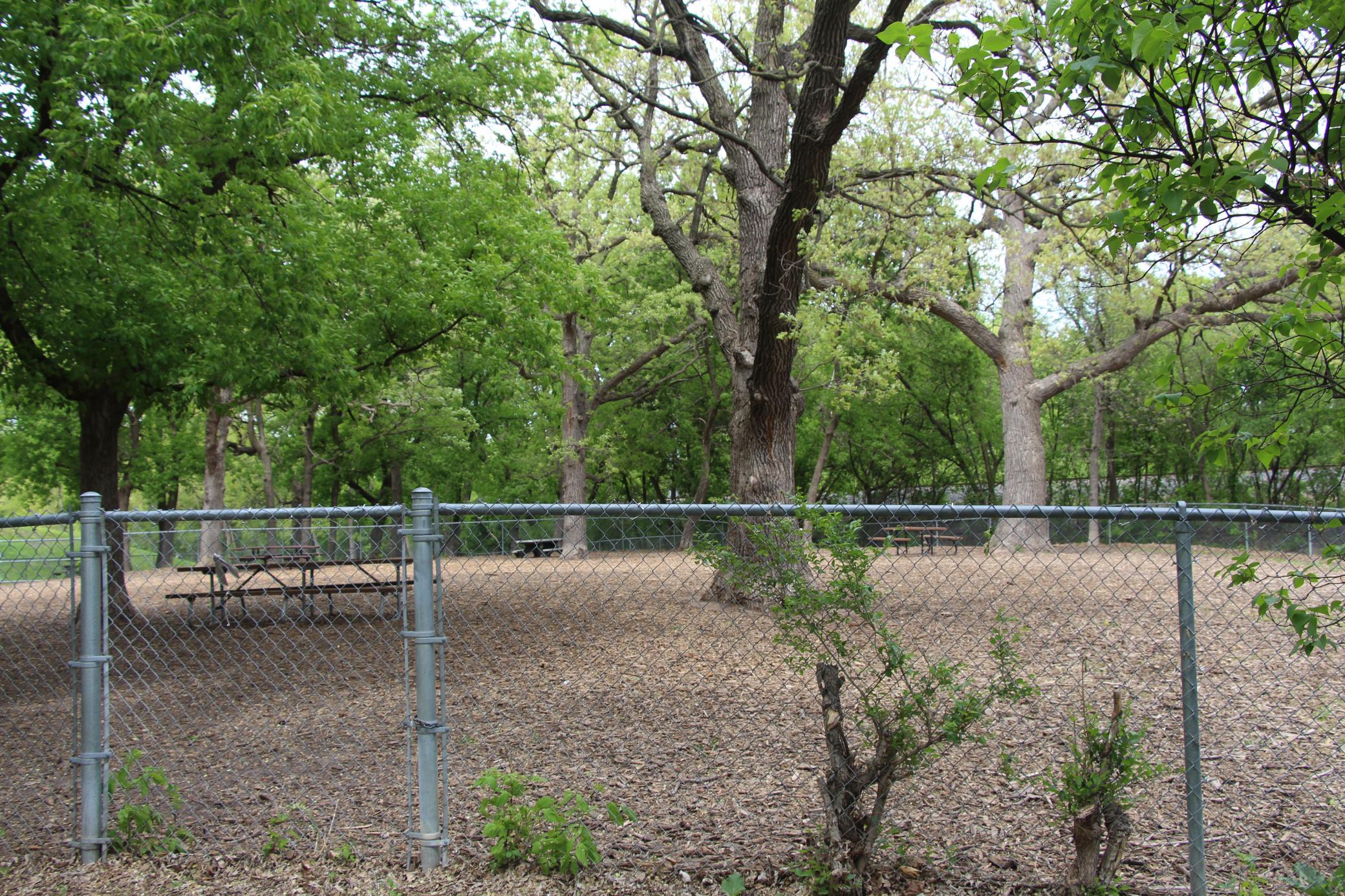 More of the huge doggie park.