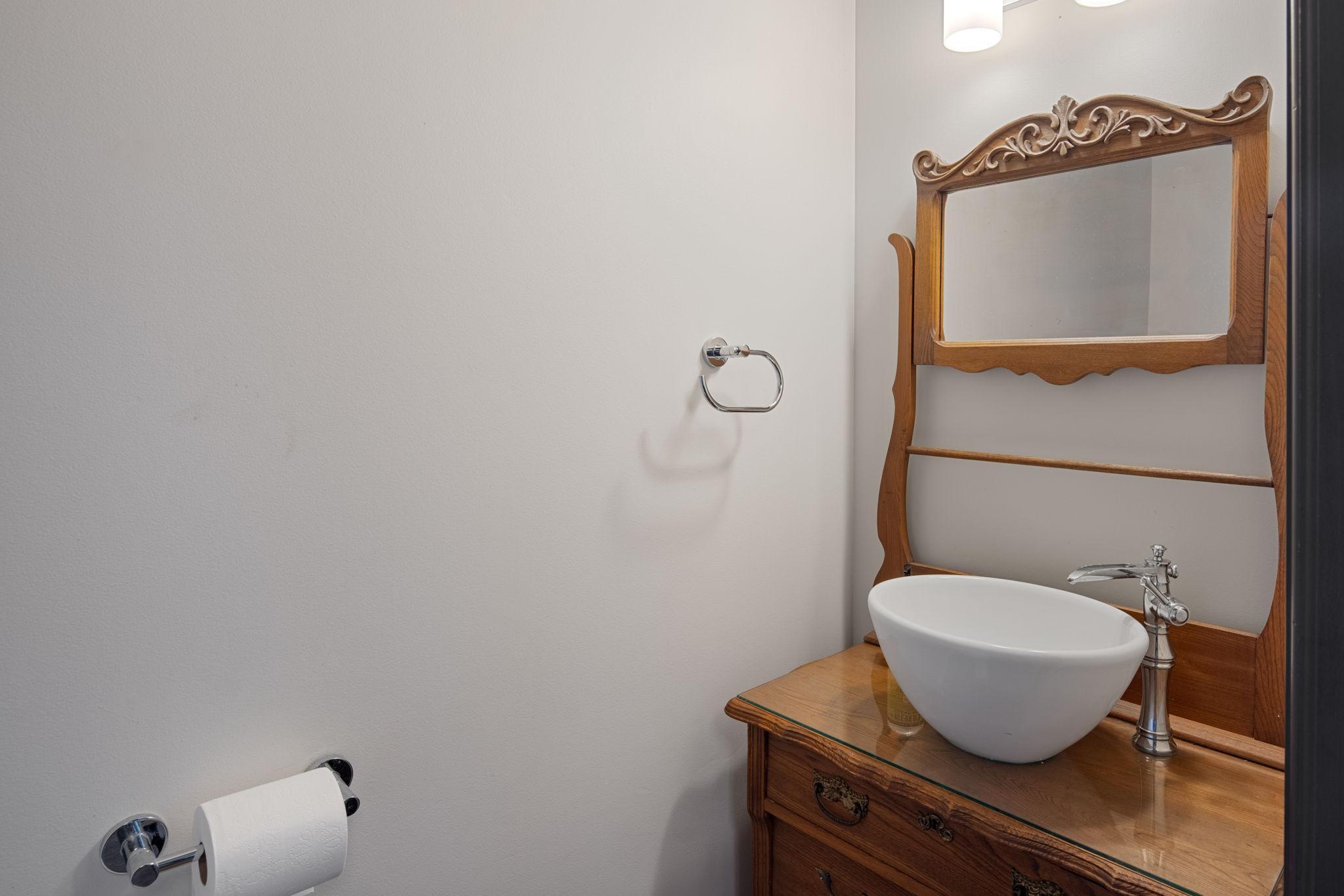 763-Cherokee-Ave-St-Paul-Whitney-Delmonico-powder-room.jpeg