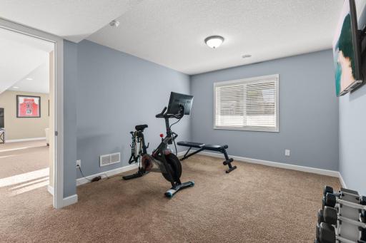 8821 Reflections Road, Chanhassen, MN 55317