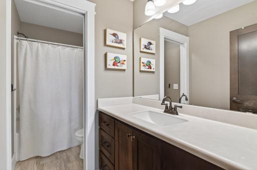 214 Cedar Lake Court, New Prague, MN 56071