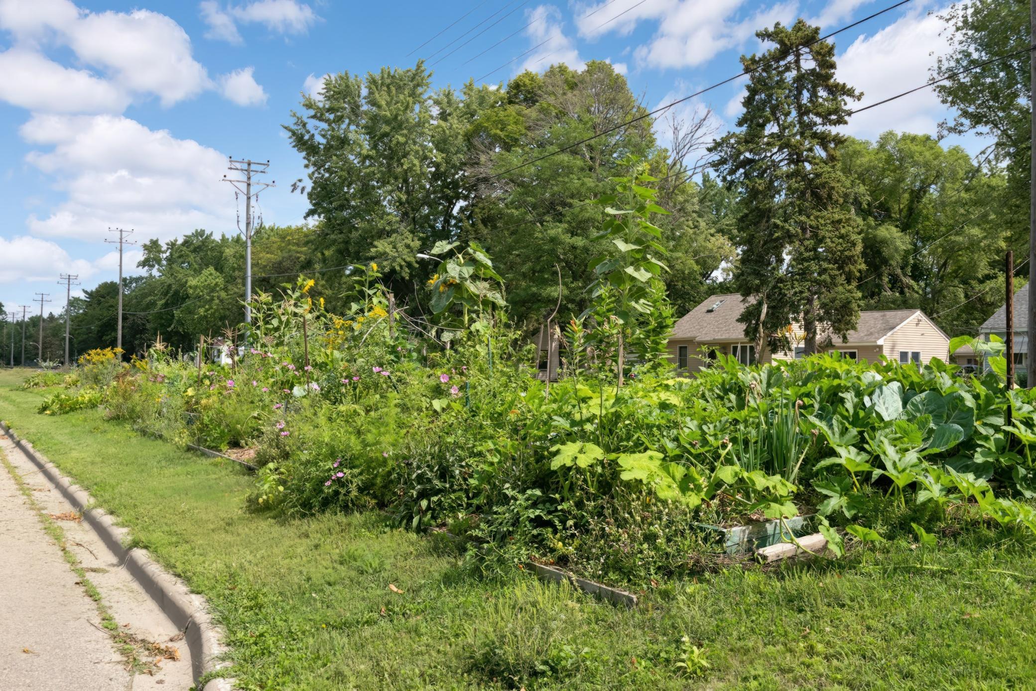 Richfield community garden