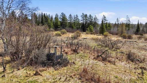 TBD Hwy 25, Angora, MN 55703