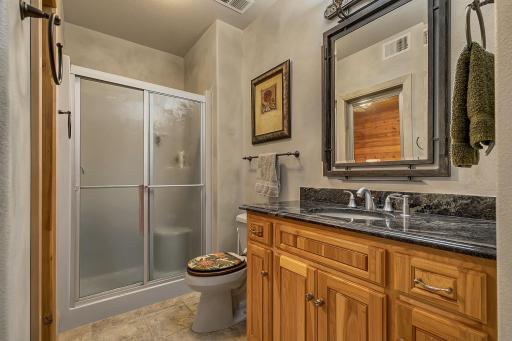 Lower level 3/4 bathroom with great vanity area. Note the enclosed sauna in the mirror reflection.