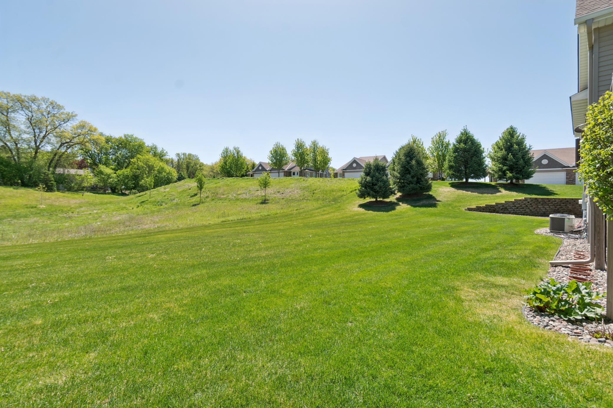 Backyard.jpg