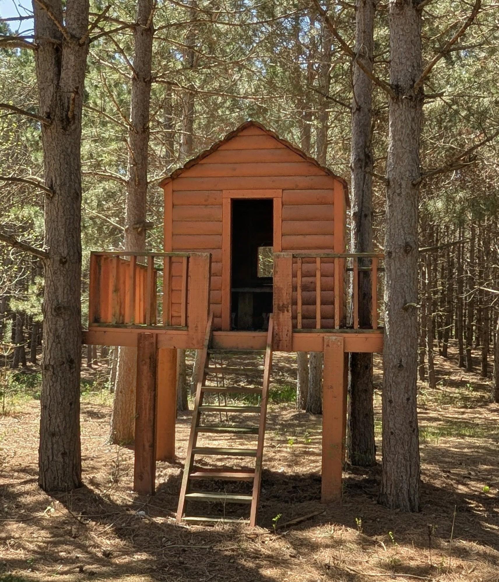 House 9.jpg