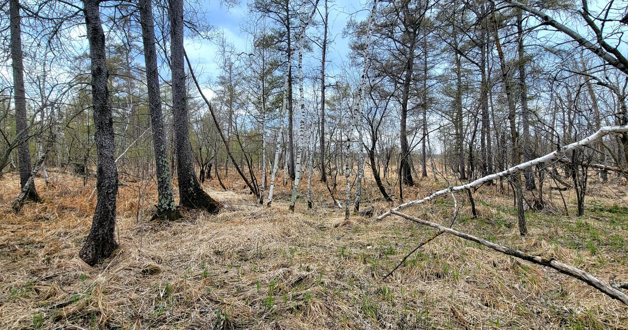 1000046252.jpg