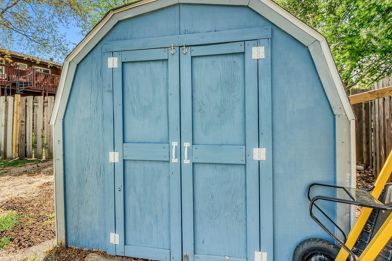 Backyard_shed1_1-1280.JPG