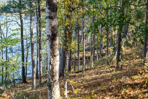 TBD Liedlwood Ln, Pequot Lakes, MN 56472