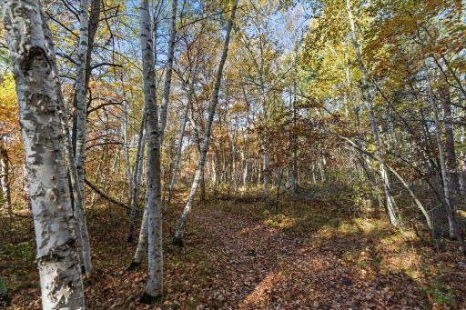 TBD Liedlwood Ln, Pequot Lakes, MN 56472