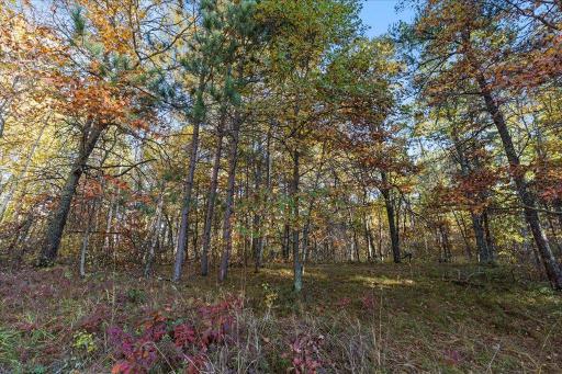 TBD Liedlwood Ln, Pequot Lakes, MN 56472
