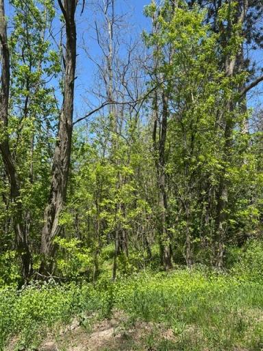 XXX S Adams Street, Saint Croix Falls, WI 54024