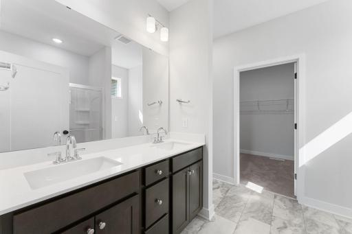 Owner's Suite Bathroom and Walk-In Closet