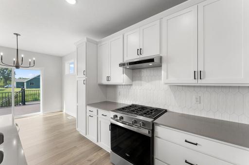 Gas Range with Exhaust Hood