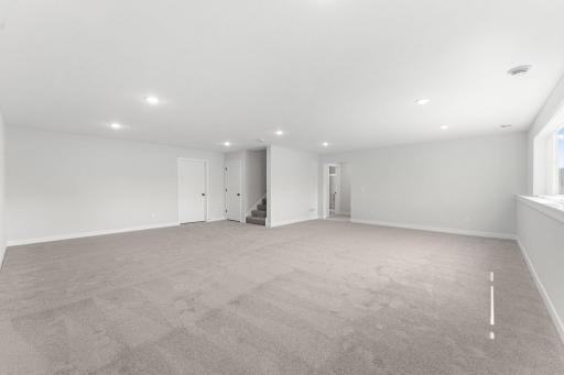 Lower Level Family Room