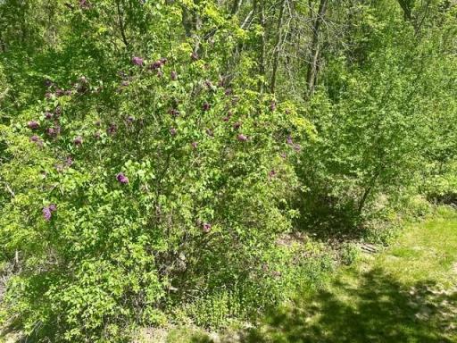 8751 212th Street Court N, Forest Lake, MN 55025