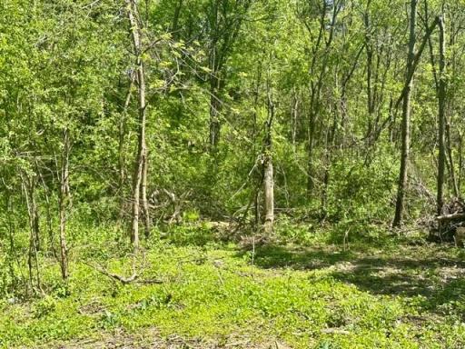 8751 212th Street Court N, Forest Lake, MN 55025