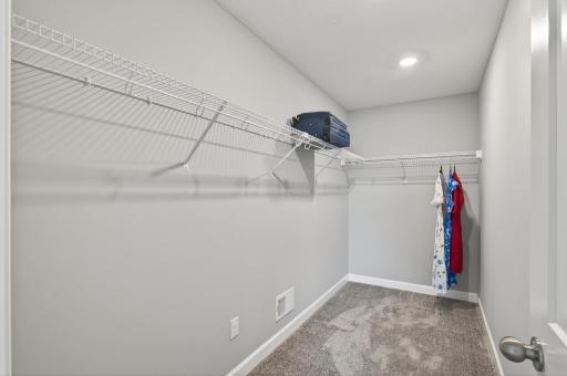 1559 Edgebrook Lane, Carver, MN 55315