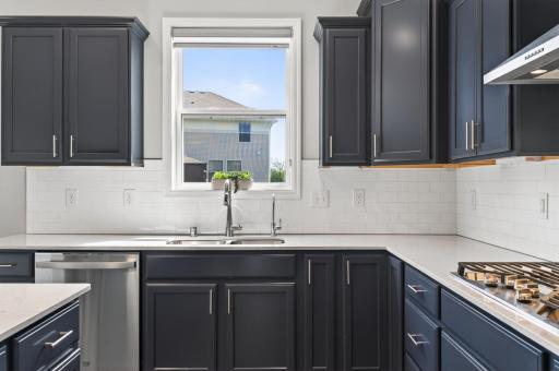 1559 Edgebrook Lane, Carver, MN 55315