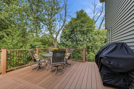 20901 Granada Ave Cove N, Forest Lake, MN 55025