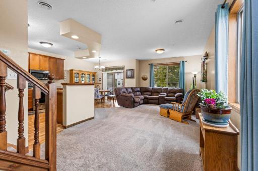 155 Stallion Lane, Circle Pines, MN 55014