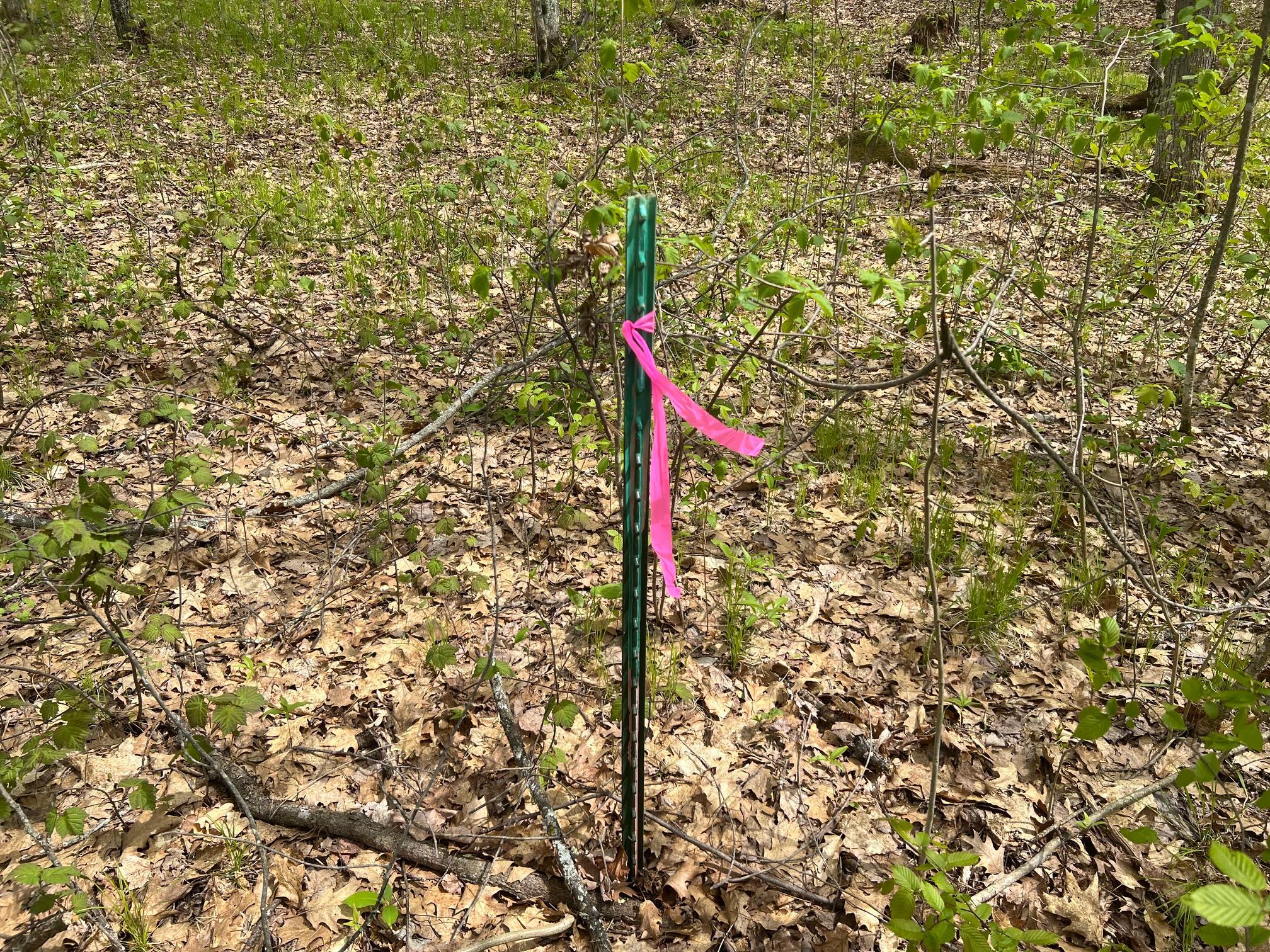 Boundary stake