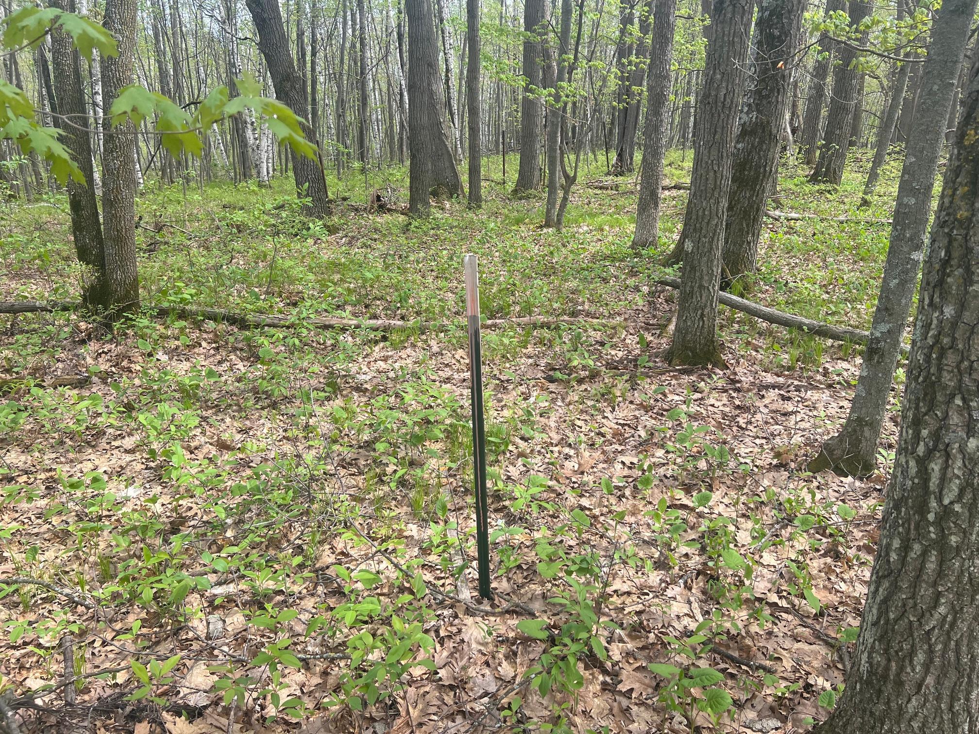 Boundary stake