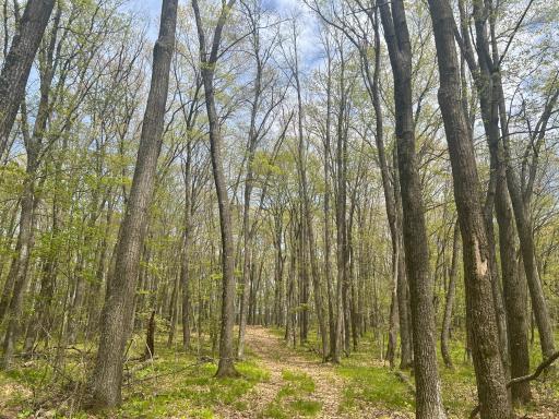 N8661 Sand Pit Road, Trego, WI 54888