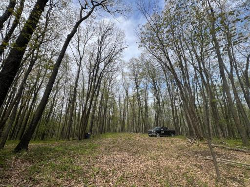 N8661 Sand Pit Road, Trego, WI 54888