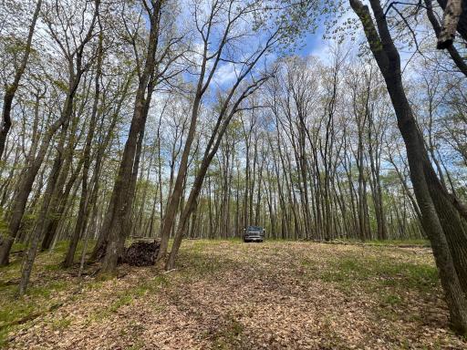 N8661 Sand Pit Road, Trego, WI 54888