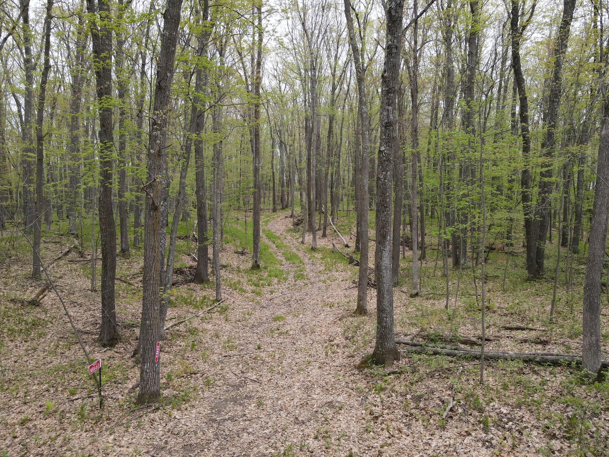 Property facing East