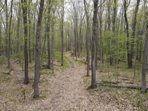 N8661 Sand Pit Road, Trego, WI 54888
