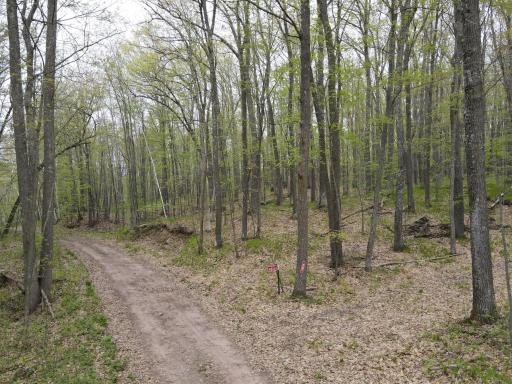 N8661 Sand Pit Road, Trego, WI 54888