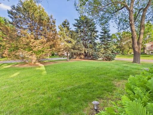 Side yard