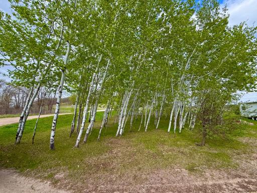 41970 400th St, Perham, MN 56573