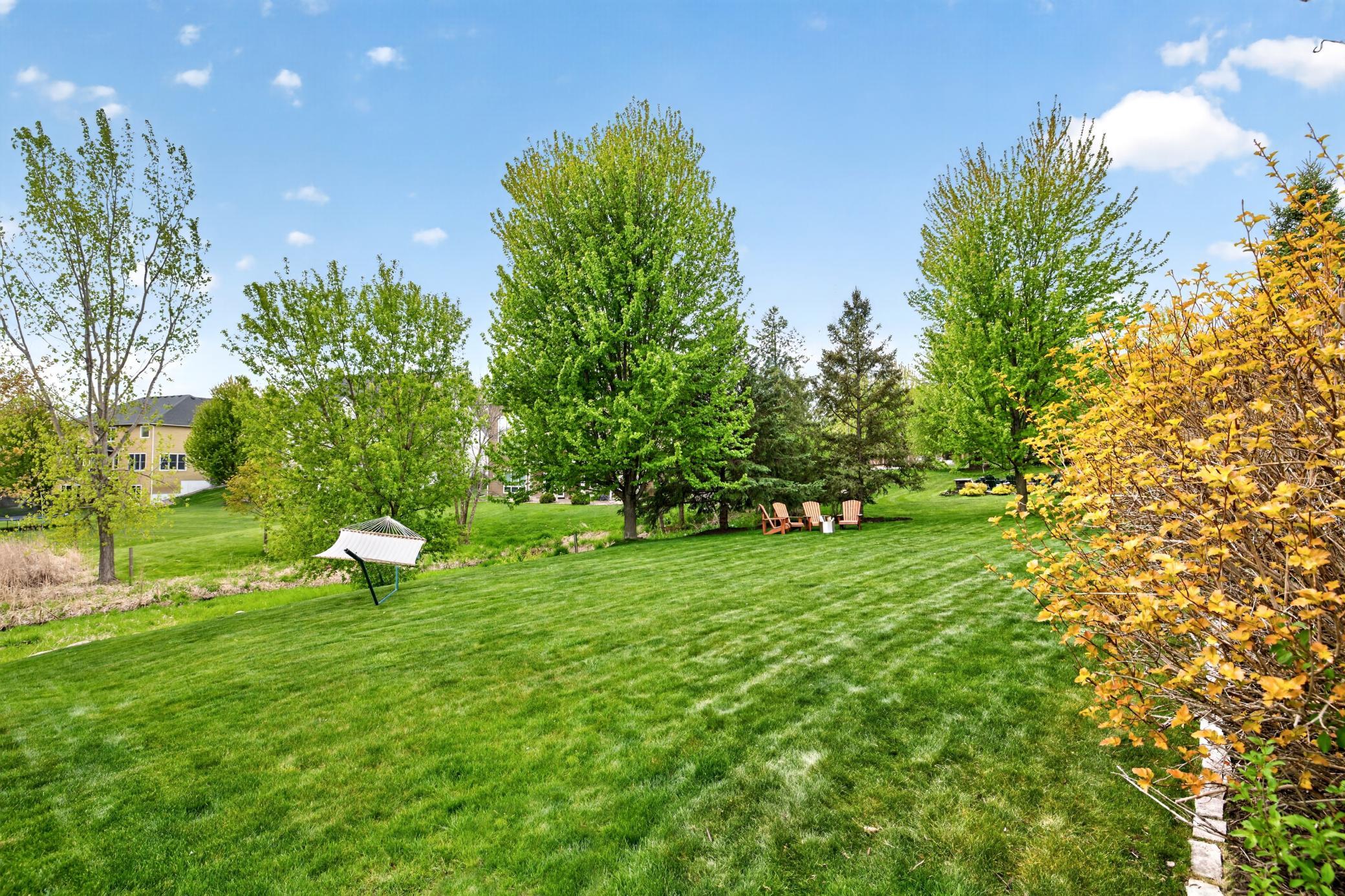 79 Back Yard 2 (1).jpg