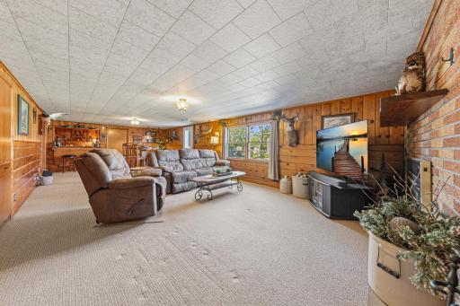 40 family room_lower.jpg