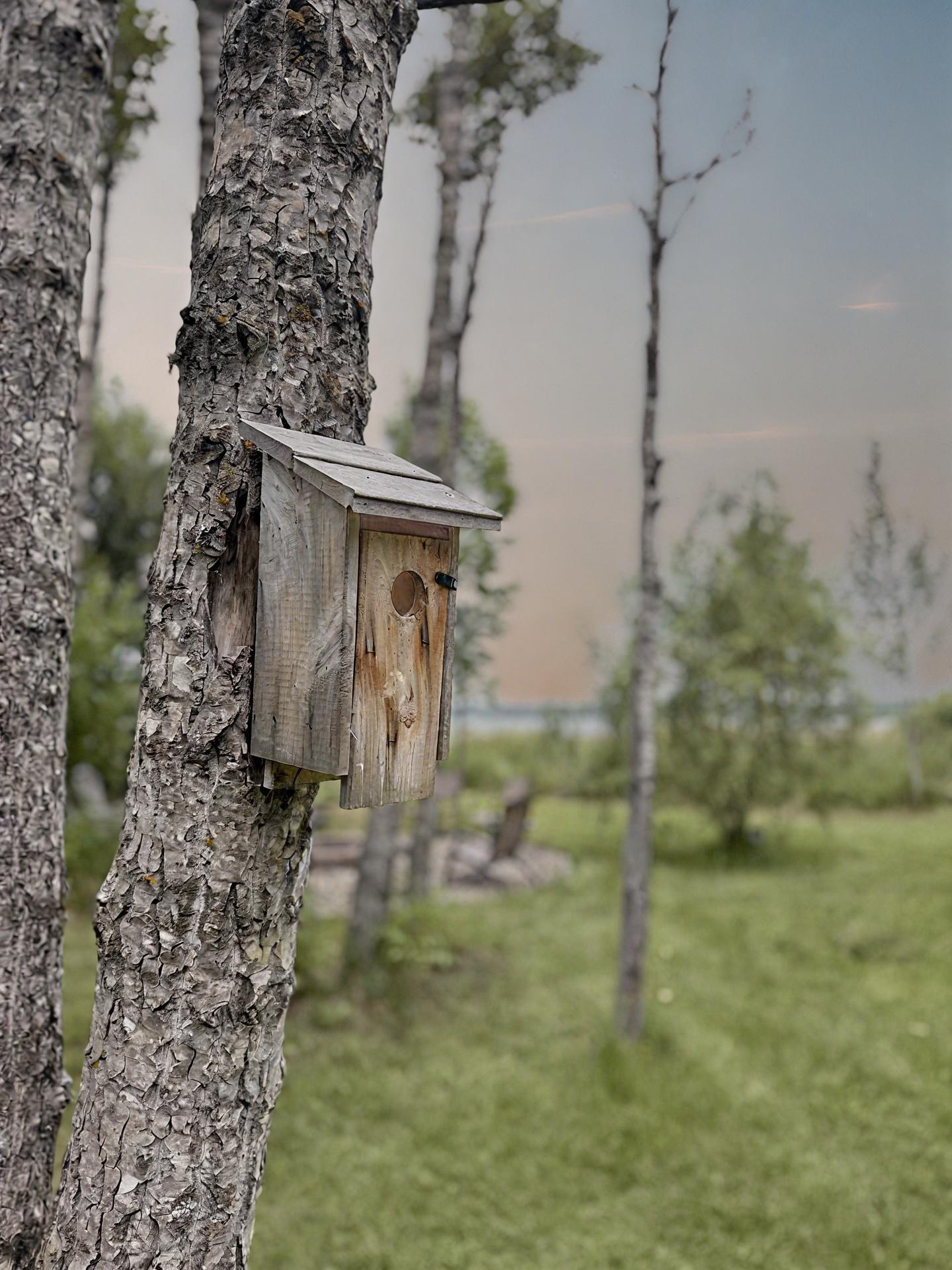 Bird House