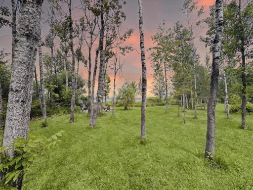 49354 Center Point Road, Bigfork, MN 56628