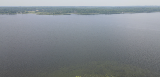 49354 Center Point Road, Bigfork, MN 56628