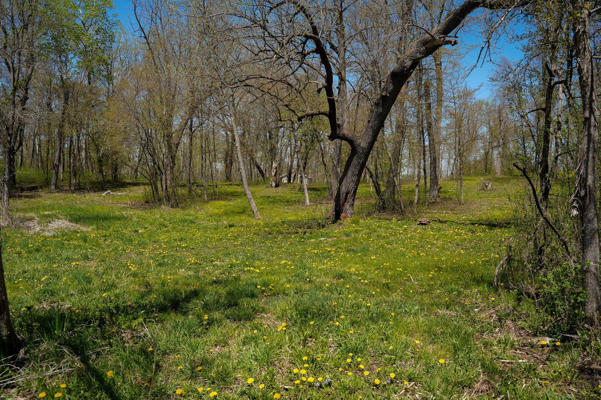 DSC00030.jpg