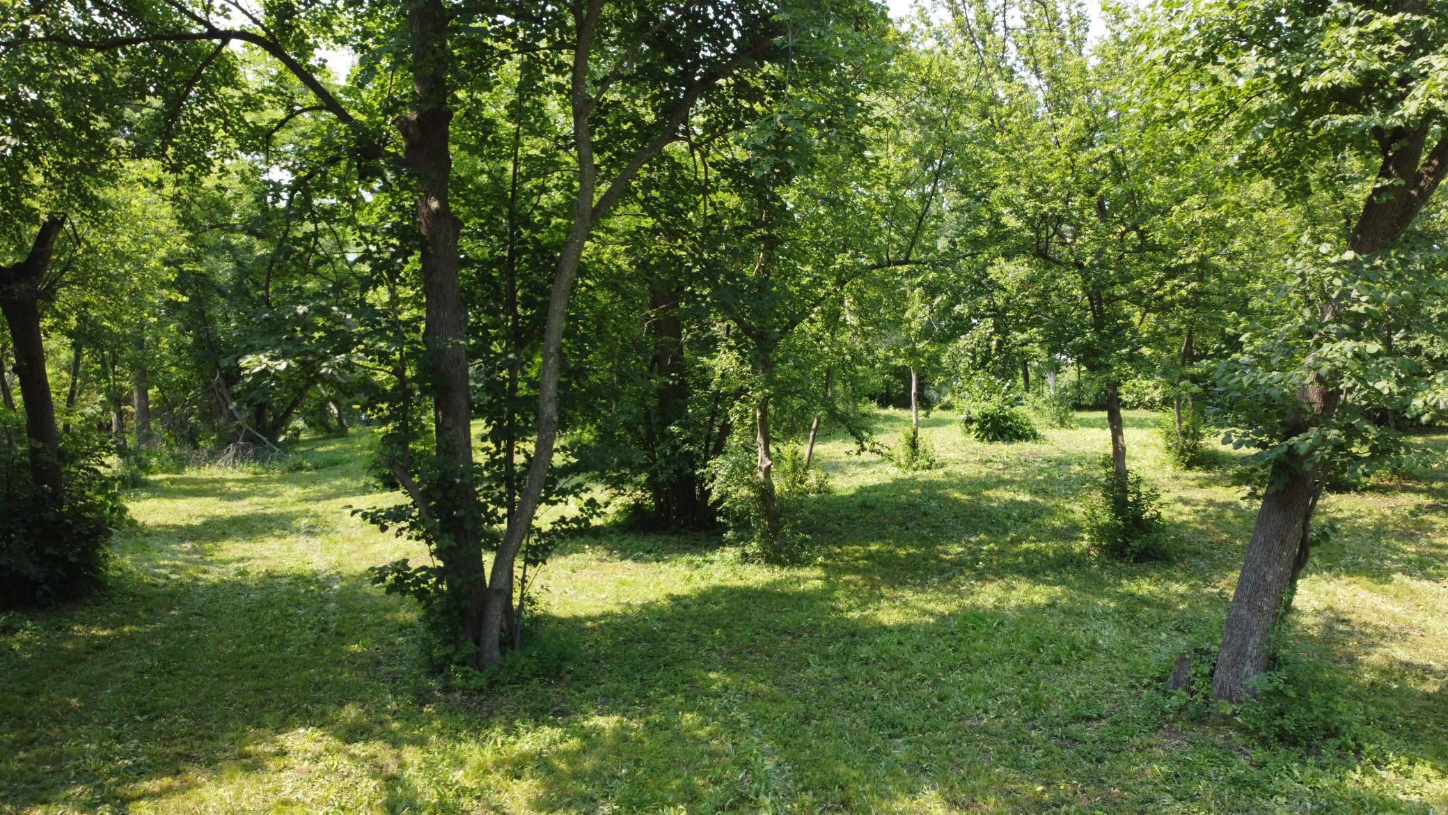 Photo-11.JPG